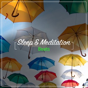 16 Alpha & Delta Beats for Sleep & Zen Meditaiton