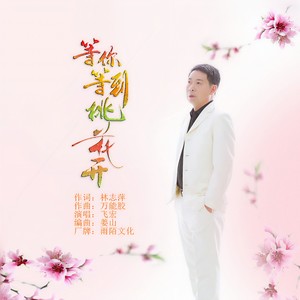 等你等到桃花开