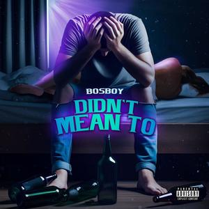 Didn't Mean To (Explicit)