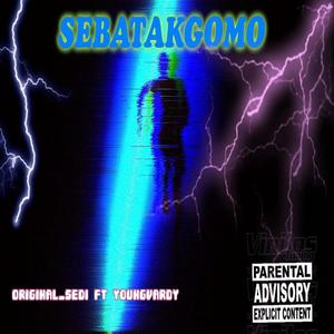 Sebatakgomo (feat. VaRdY2o8) (Explicit)