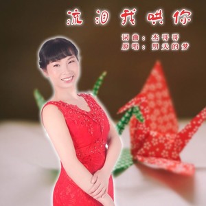 流泪我哄你