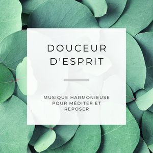 Douceur d'esprit: Musique harmonieuse pour méditer et reposer