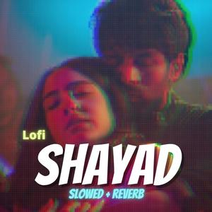Shayad Lofi(Slowed + Reverb) (Radio Edit)