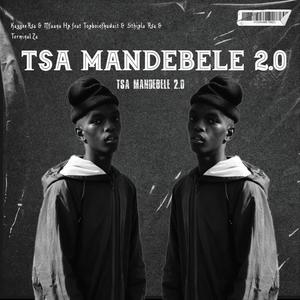 Tsa Mandebele 2.0 (feat. Mfana Hp, Topboiofkuwait, Sthipla Rsa & Terminal Za)