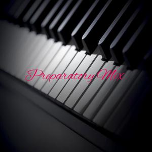 Preparatory Mix