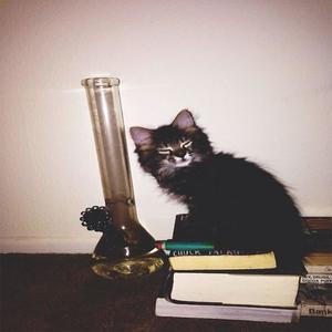 u knat cool (Explicit)