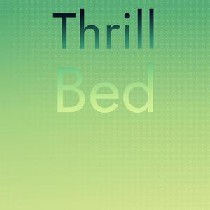 Thrill Bed