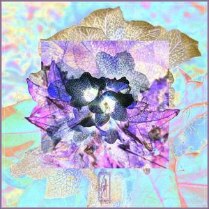 Psychopath (Mental Health Edit)