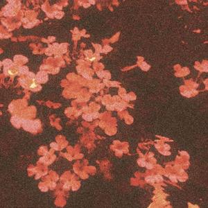 this ones kinda cool i think (slowed + reverb)