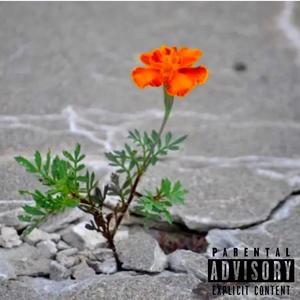 Resilence (Explicit)