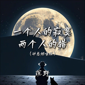 一个人的寂寞两个人的错 (动感烟嗓版)