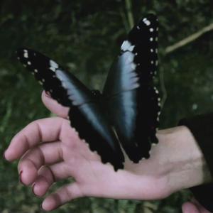 AMANHÃ A GENTE VÊ (Explicit)