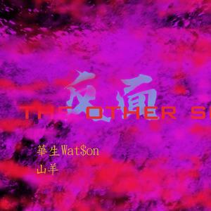 反面