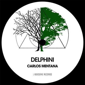 Delphini