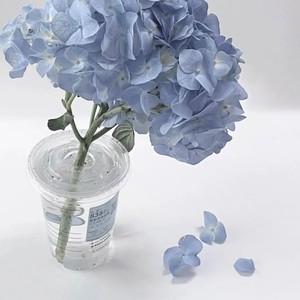 Theoretical Simulation (歌曲版)