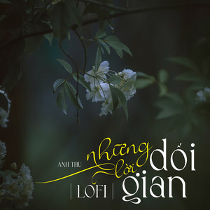 Những Lời Dối Gian (Lofi Mix)