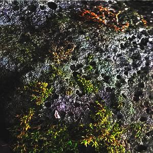 Ambergris & Blubber (feat. Egg White & Pallet Jack) (Explicit)