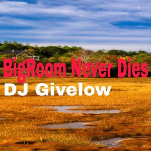 BigRoom Never Dies