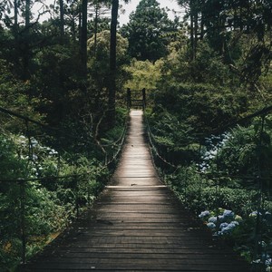 Música para Meditar