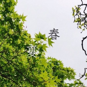 成都是春，重庆是夏