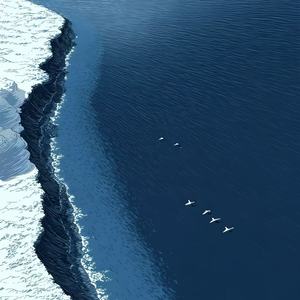 本以为爱意永存