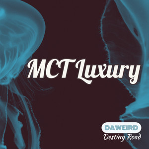 Destiny Road (Alan de Laniere Mix)