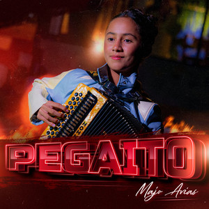 Pegaito