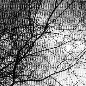 Mutilation (feat. CR3ATVRE) (Explicit)