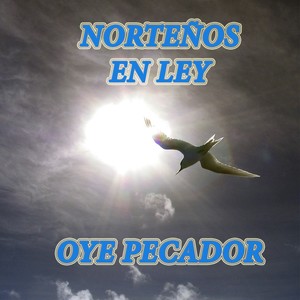 Norteños en Ley: Oye Pecador