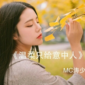 温柔只给意中人