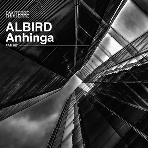 Anhinga (Original Mix)