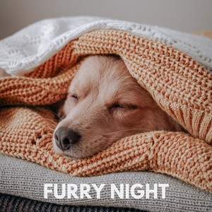 Furry Night