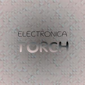 Electronica Torch