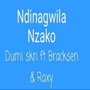 Ndinagwila Nzako (feat. Bracksen & Raxy) [Explicit]