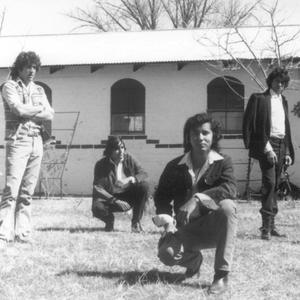 Running Wild