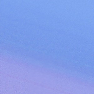 Llama