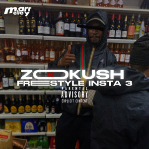 Freestyle Insta 3 (Explicit)