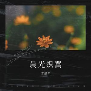 光焰号角-雪甜夕