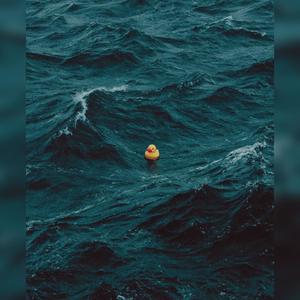 Possibility of Freedom