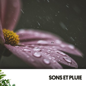 Sons et Pluie: Mélodies de la Nature