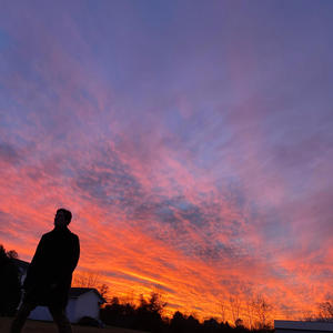 Betting On A Feeling