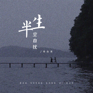 半生空自扰 (DJ名龙版)