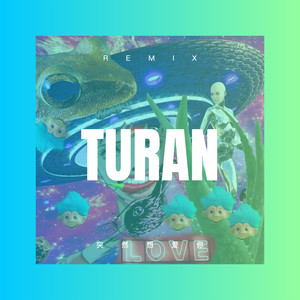 一首十几岁听的情歌