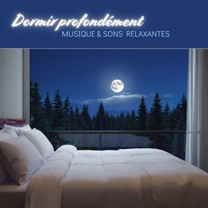 Les Lumières de la nuit