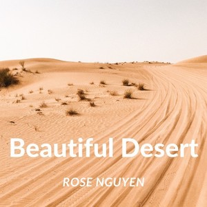 Beautiful Desert