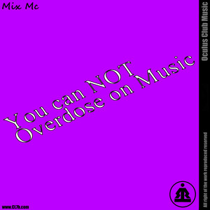 You Can't Overdose on Music, Vol. 5