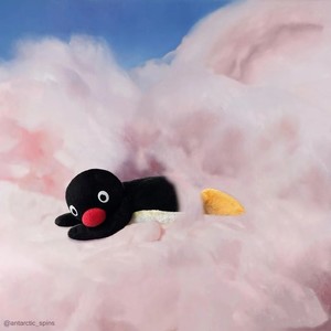 Jellyrose - 不属于我的东西(允许你先跑39米)