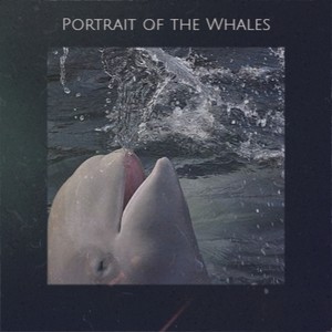 Portrait of the Whales