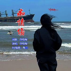 痴情伤-DJ梅兰版