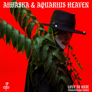 Love To Hate (Phunkadelica Remix)